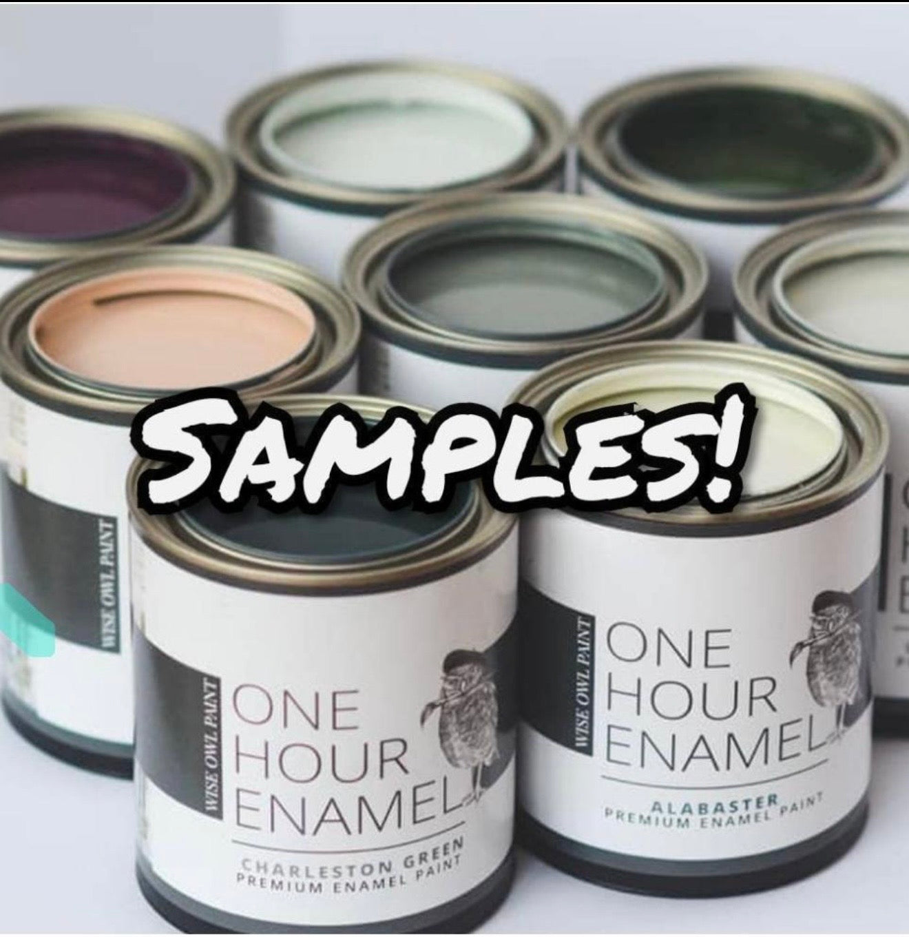 Paint Samples! Add-on product ONLY! Cannot order alone!  Strict Limit of one sample per color option