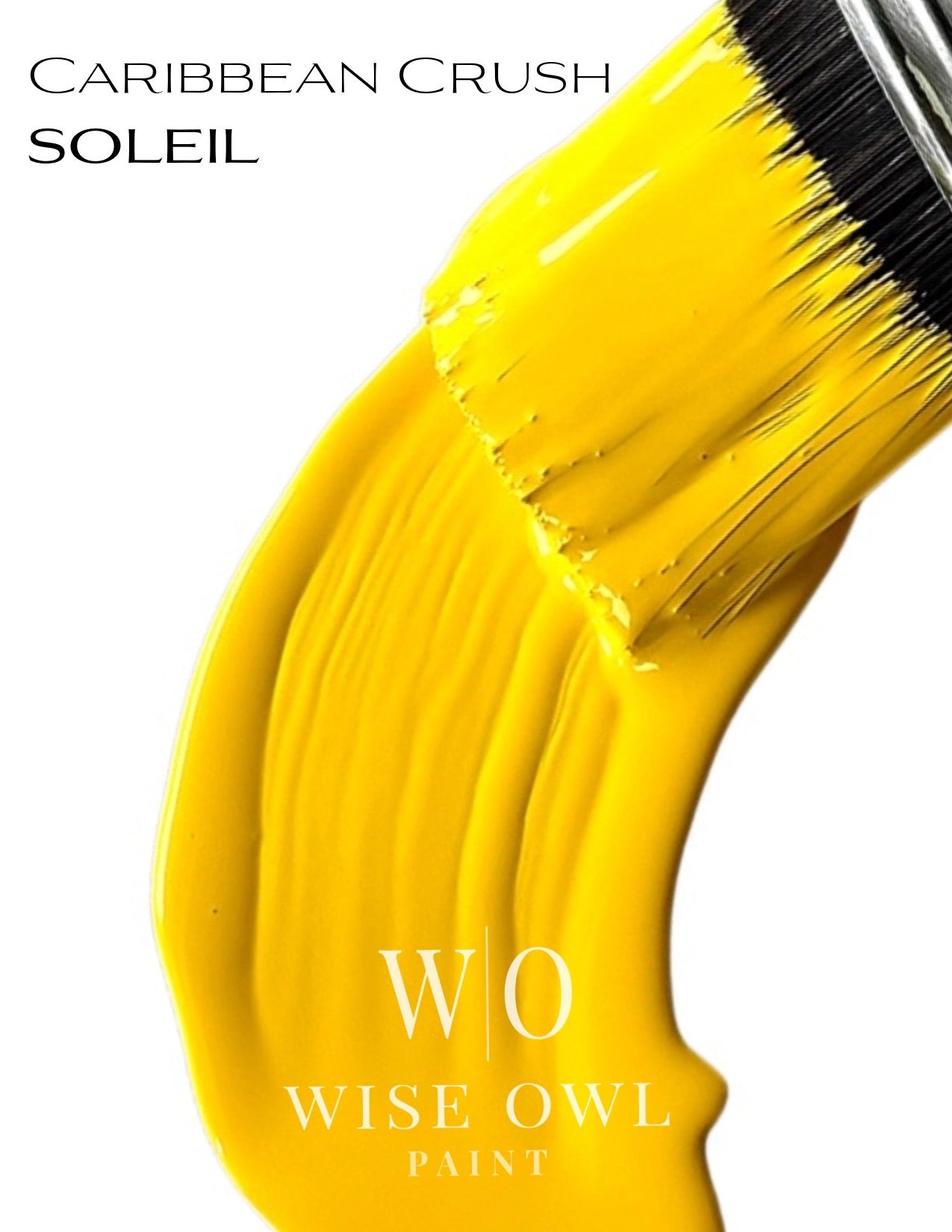 One Hour Enamel Paint GALLONS