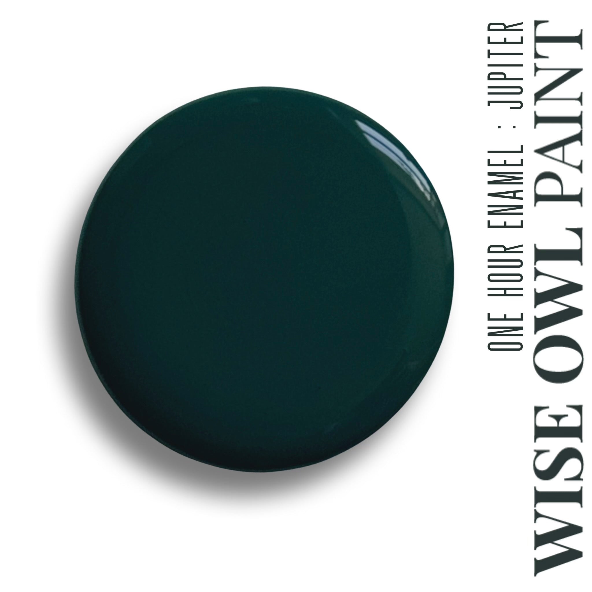 One Hour Enamel Paint QUARTS